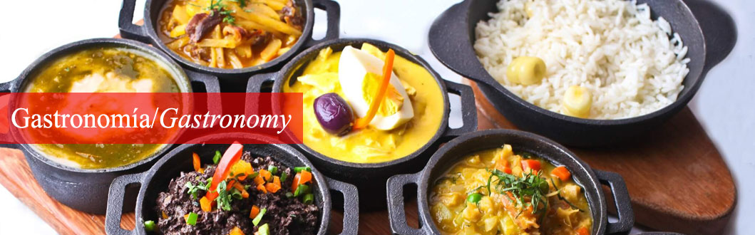 Food and Gastronomy