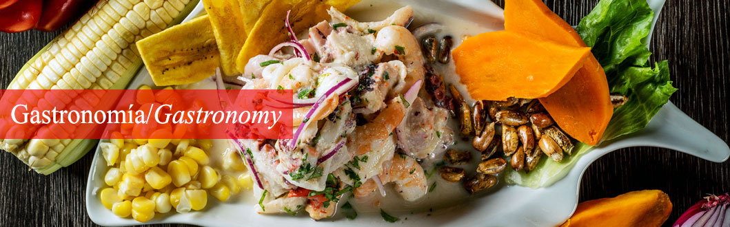 Food and Gastronomy