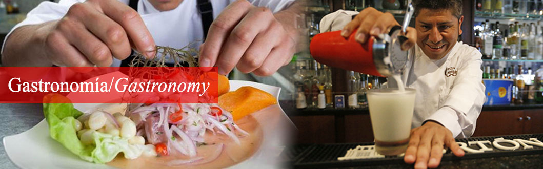 Food and Gastronomy