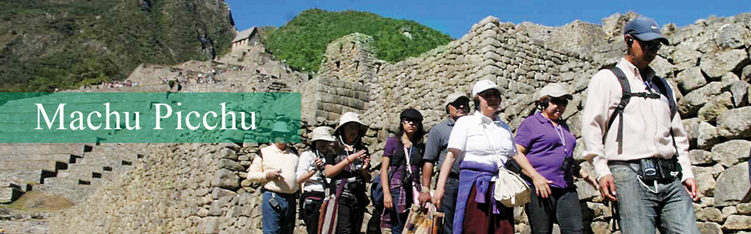 Machu Picchu