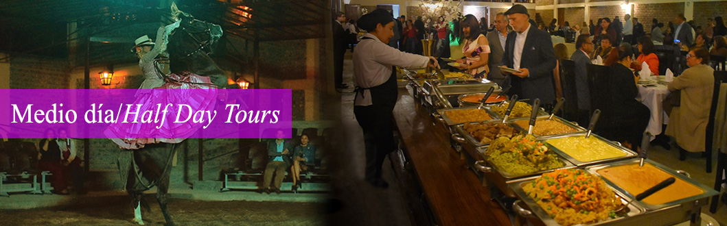 Half Day Tours