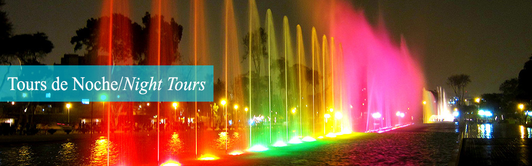 Night Tours and Shows