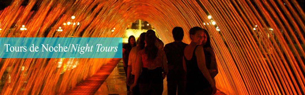 Night Tours and Shows