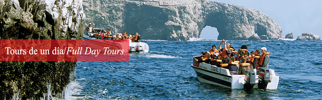 Full Day Tours